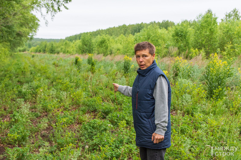 Тагил передача. Алексей Сергеев Нижний Тагил. Горзеленхоз Нижний Тагил. Питомник Горзеленхоза, Нижний Тагил. Директор Горзеленхоз Нижний Тагил.