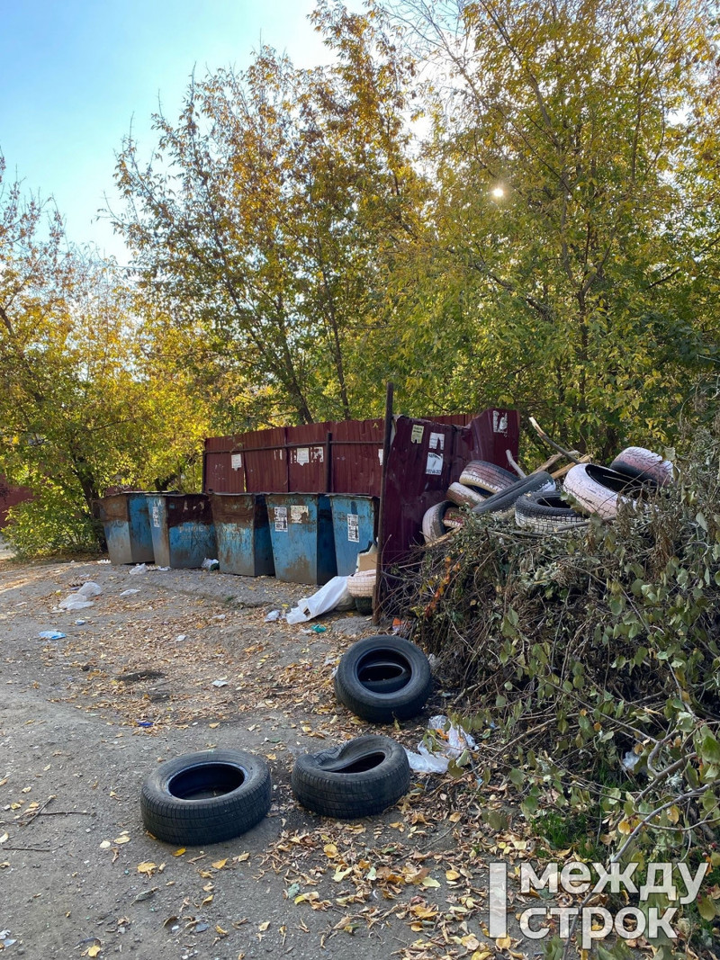 Если дети их подожгут, будет очень хороший пожар». Жители Тагилстроя  пожаловались на разбросанные возле мусорки шины, которые использовали в  качестве клумб | 25.09.2023 | Нижний Тагил - БезФормата