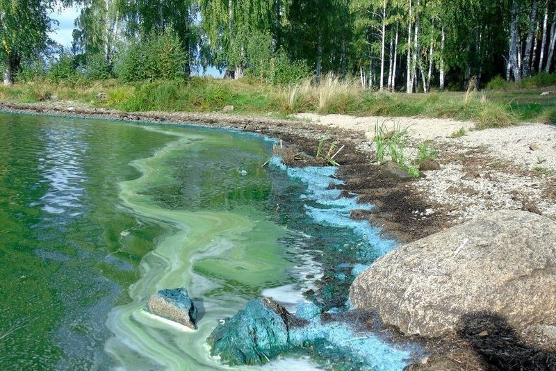 «Водоканал-НТ» оштрафовали на 301 тысячу рублей за сброс отходов