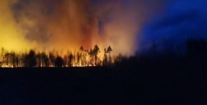 Под Екатеринбургом и Асбестом горят лесные массивы (ВИДЕО)