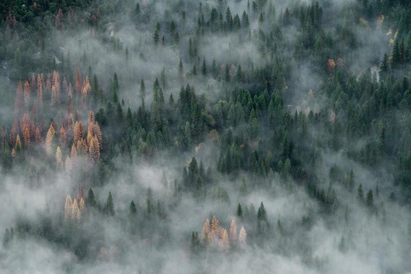 Города Свердловской области окутал смог от лесных пожаров 