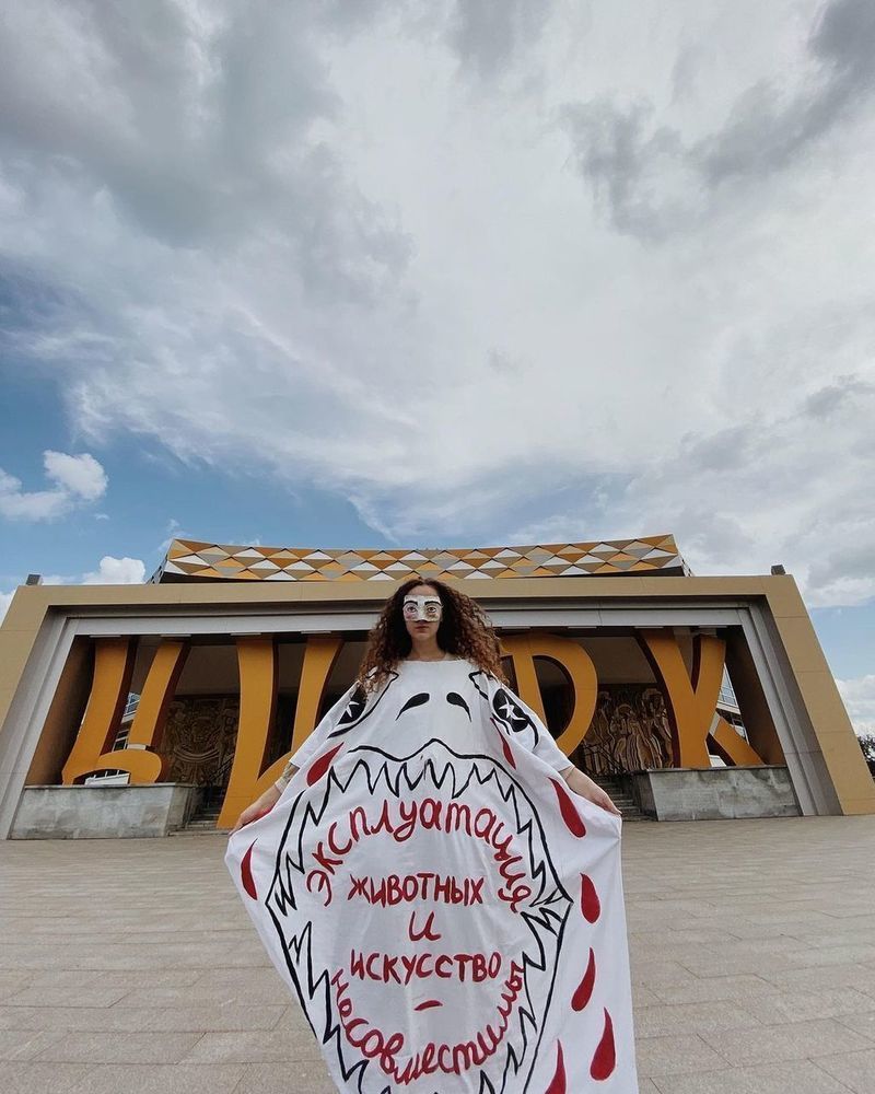 Художница Алиса Горшенина провела одиночный пикет возле Нижнетагильского цирка 