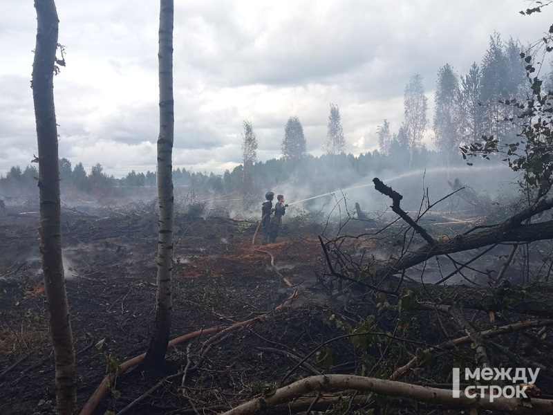 В Свердловской области за сутки в 2,5 раза выросла площадь лесных пожаров