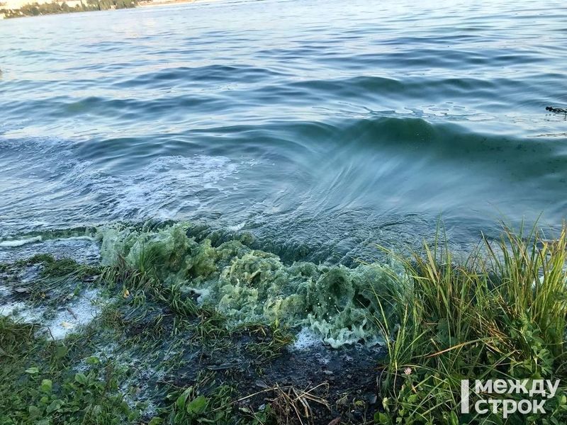Свердловская область стала лидером по количеству загрязнений рек и водоёмов