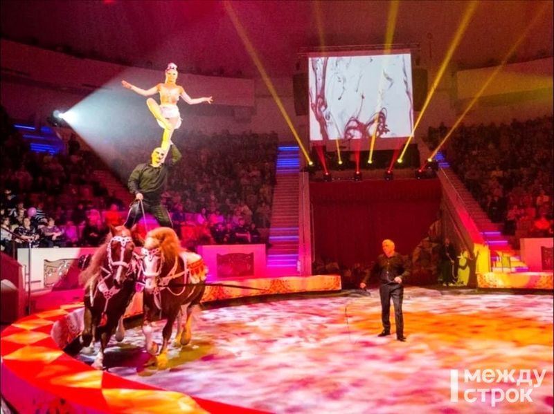 «Это полный восторг!» Новая цирковая программа в Нижнетагильском цирке впечатлила детей и взрослых 