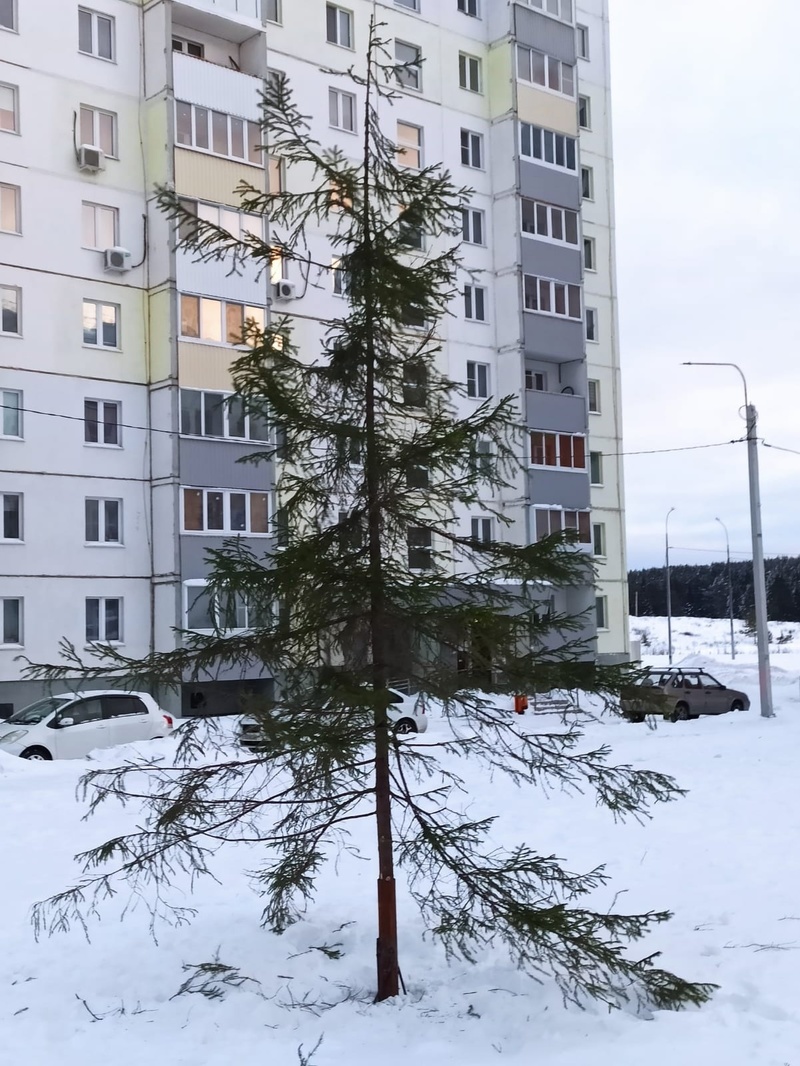 «Как будто в Чернобыле». Жители ГГМ в соцсетях обсуждают «праздничную» ёлку, установленную во дворе управляющей компанией