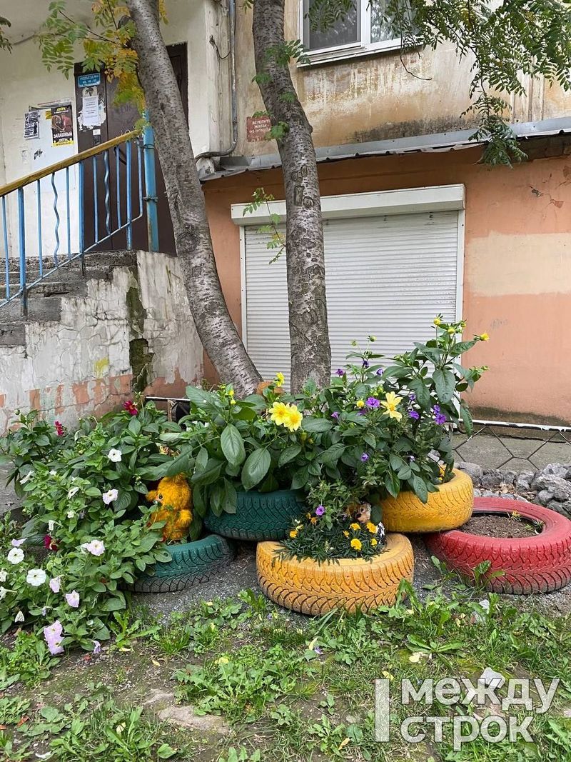 Давно пора было выкорчевать эти туалеты для котов». В Нижнем Тагиле  управляющие компании начали убирать клумбы из старых покрышек | Новости  Нижнего Тагила и Свердловской области - Агентство новостей «Между строк»