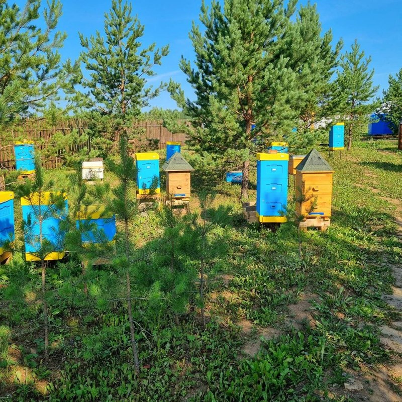 Много запросов было на квадроциклы, и теперь мы можем их купить». Уральские  фермеры получат 25 млн рублей на развитие агротуризма | Новости Нижнего  Тагила и Свердловской области - Агентство новостей «Между строк»