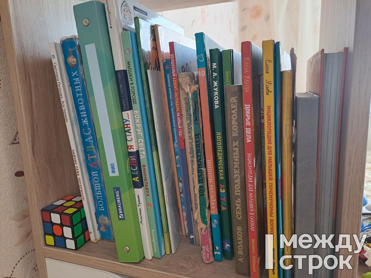 В Нижнем Тагиле пройдёт неделя детской книги
