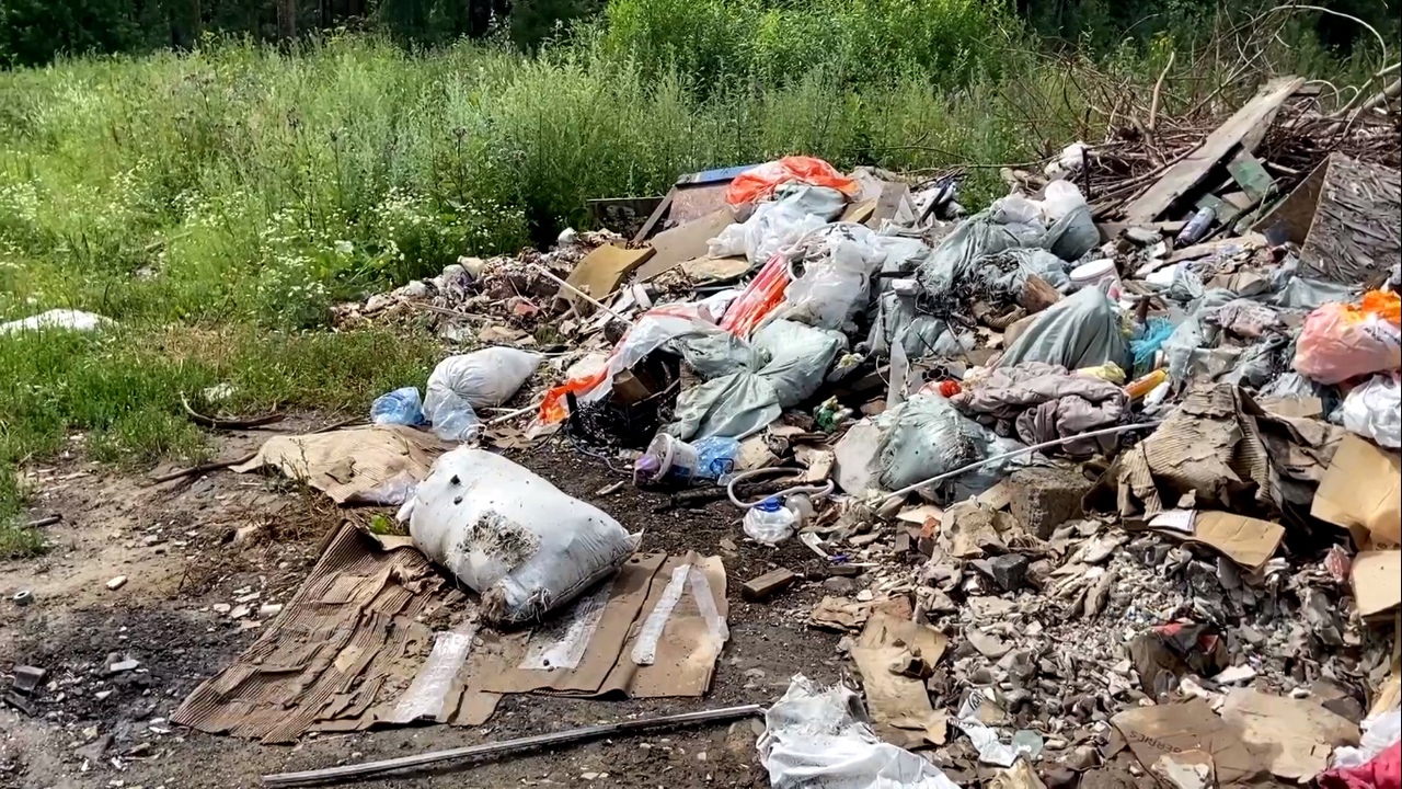Жительница Нижнего Тагила отправилась с детьми на прогулку и обнаружила незаконную свалку мусора со скотомогильником