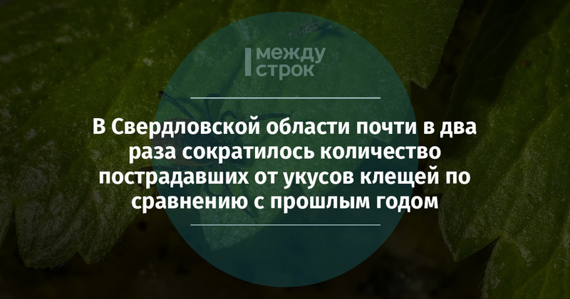 Карта клещей свердловская область