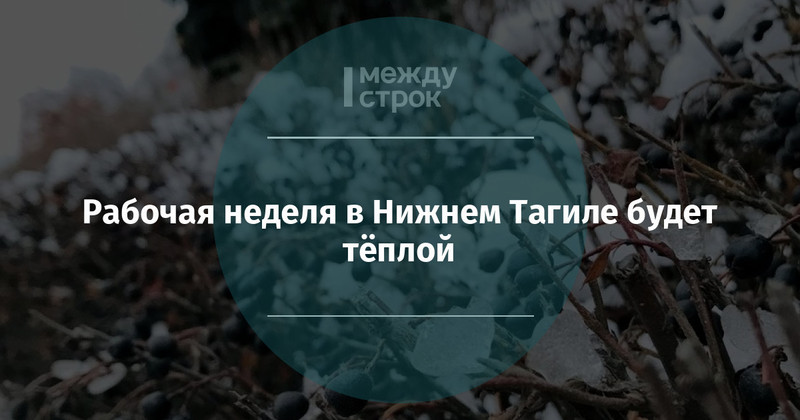 Рабочая неделя в Нижнем Тагиле будет тёплой | Новости Нижнего Тагила и