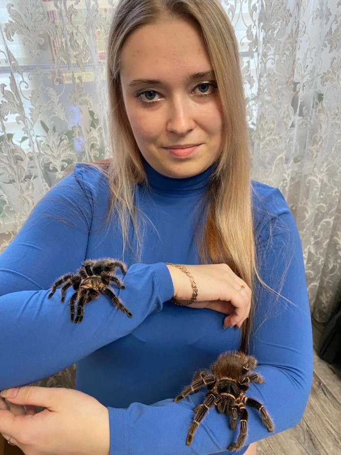 Пауки сами не нападают, но предупреждают, когда агрессивно настроены —  встают в стойку, поднимают лапы и показывают зубы». В Нижнем Тагиле  26-летняя девушка увлекается необычным хобби | Новости Нижнего Тагила и  Свердловской