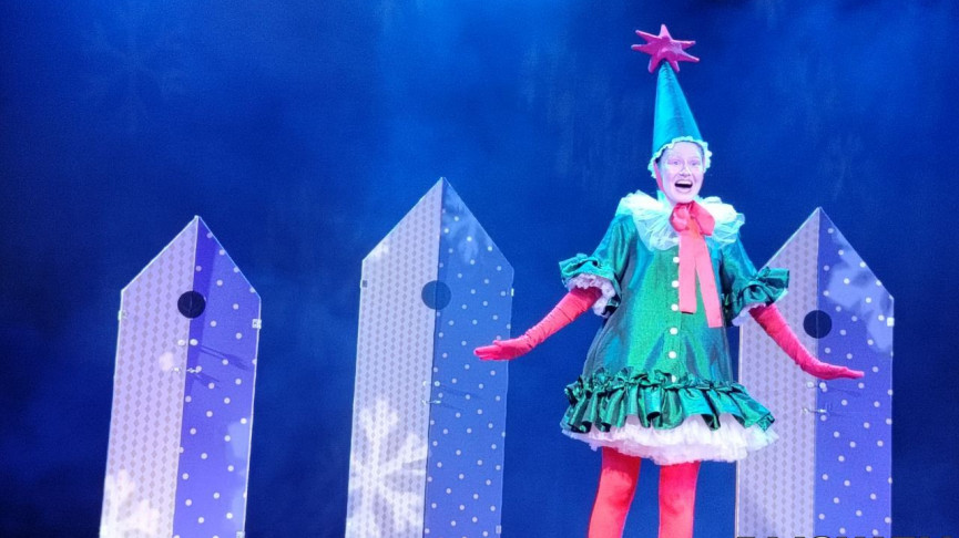 Переубедить хмурого Енота. В Новом Молодёжном театре состоялась премьера новогоднего спектакля «Фрося — ель обыкновенная» (ВИДЕО)