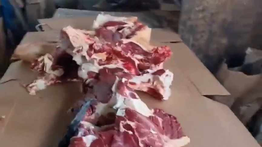 Вонь, антисанитария и нелегалы. Тагильские силовики нагрянули на овощебазы, с которых продукты попадают на столы местных ресторанов (ВИДЕО)