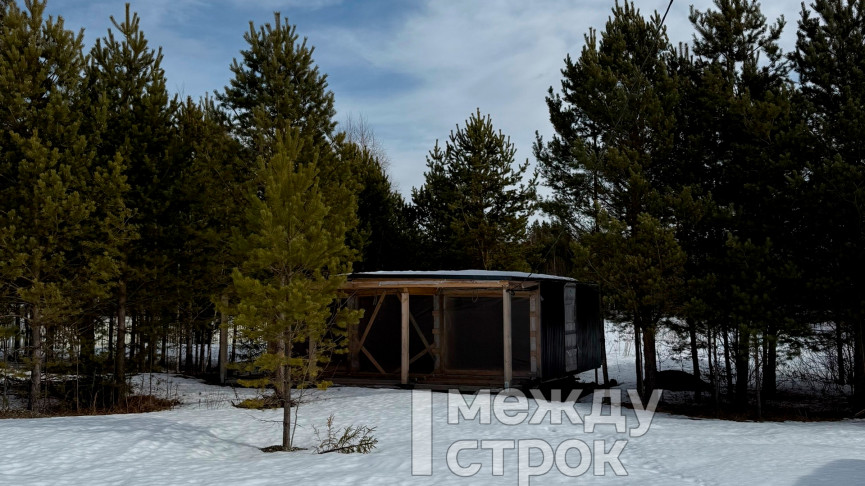 Семья из Нижнего Тагила больше года пытается построить загородный дом по каркасной технологии, который подрядчик обещал сдать за 20 дней 