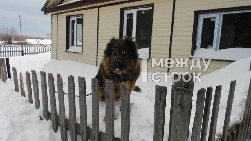 «Мы никому не нужны, получается — всё разворовали, и никому нет дела». Жительница посёлка Синегорский под Нижним Тагилом заявила о бездействии полиции после серии краж из её дома