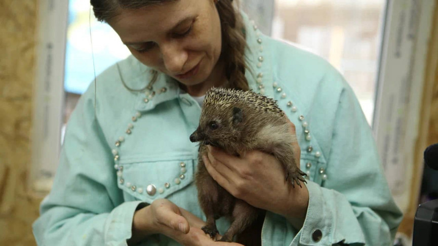 «Без этой поддержки мы бы многое не смогли сделать». Благодаря Президентскому гранту в Нижнетагильском центре реабилитации диких животных открылся «Домик Просвещения», где будут учить ухаживать за птицами