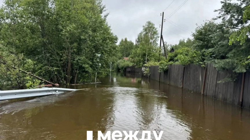 Опять виноваты бобры? В МЧС рассказали о причинах и последствиях наводнения в посёлках и садах под Нижним Тагилом