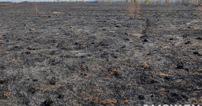 В районе Ленёвки под Нижним Тагилом бушует крупный лесной пожар