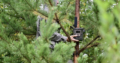 Губернатор Свердловской области Евгений Куйвашев направил из резервного фонда почти 7 млн рублей на приобретение фотоловушек для борьбы с поджигателями лесов