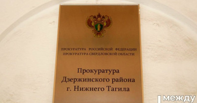 В Нижнем Тагиле прокуратура начала проверку после публикации АН «Между строк» о нападении стаи бездомных собак на женщину с ребёнком