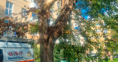 В Нижнем Тагиле, на Вагонке, спасатели дважды за день снимали детей с деревьев