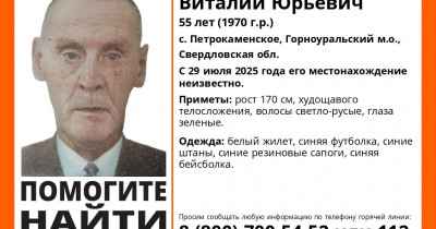 В лесах под Нижним Тагилом пропал 55-летний Виталий Зырянов 