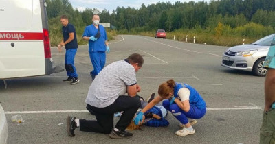 В Нижнем Тагиле сбили велосипедистку, не заметившую автомобиль из-за музыки в наушниках