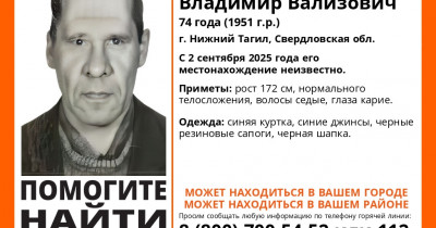 В Нижнем Тагиле разыскивают 74-летнего Владимира Шамсеева