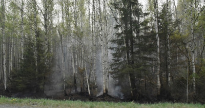 В Нижнетагильской городской думе обсудили проблемы финансирования и комплектования добровольных пожарных дружин в сельской местности