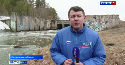 Уголовное дело возбуждено после массовой гибели рыбы в реке Иса под Нижним Тагилом