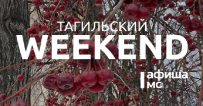 Тагильский weekend, топ-6: волейбольный матч, фотовыставка, фестиваль настольных игр, лекция, игры с аниматором и экологическое мероприятие