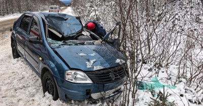 Водитель, сбивший лося на трассе под Нижним Тагилом, скончался в больнице