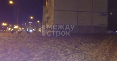 «Каждый выход из дома и возвращение превращаются в сражение за жизнь». На Красном Камне появилась стая собак, держащая в страхе местных жителей