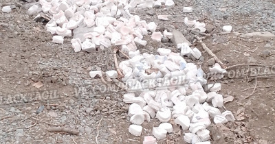 В Нижнем Тагиле на Вагонке около мусорных контейнеров обнаружили выброшенные зубные слепки с фамилиями пациентов