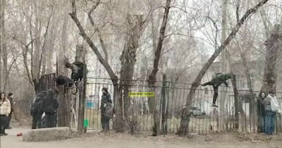 В школе № 50 Нижнего Тагила отреагировали на видео со школьниками, штурмующими забор