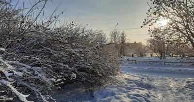 МЧС предупредило о сильных морозах в Свердловской области