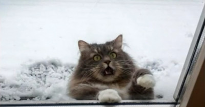 В Свердловскую область идут аномальные морозы