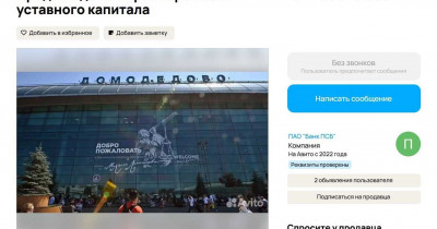 Аэропорт «Домодедово» продают на «Авито» за 132 млрд рублей