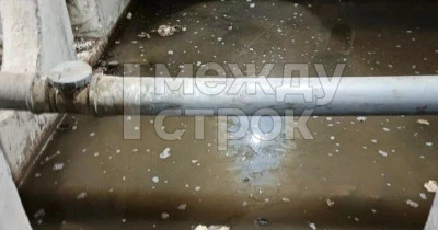 В Нижнем Тагиле на ГГМ подвал многоэтажки уже несколько лет регулярно заливает фекалиями