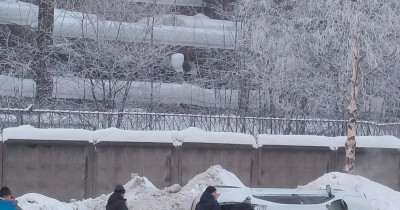 В Госавтоинспекции рассказали подробности ДТП с иномаркой, вылетевшей в сугроб на Тагилстрое 