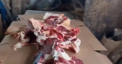 Вонь, антисанитария и нелегалы. Тагильские силовики нагрянули на овощебазы, с которых продукты попадают на столы местных ресторанов (ВИДЕО)