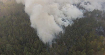 Денис Паслер утвердил дату начала пожароопасного сезона в Свердловской области