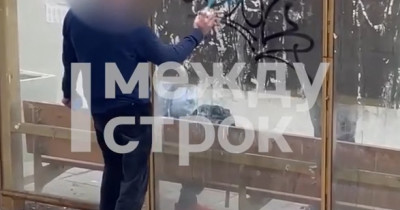 «Снимайте, у меня краски много!». В Нижнем Тагиле художник-вандал, изрисовавший остановку, набросился на мужчину после замечания (ВИДЕО)