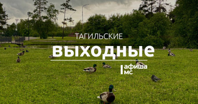 Тагильские выходные топ-8: творчество под открытым небом, истории о лошадях, театр на улице, пиратское шоу, день рождения диджея и благотворительный ультрамарафон