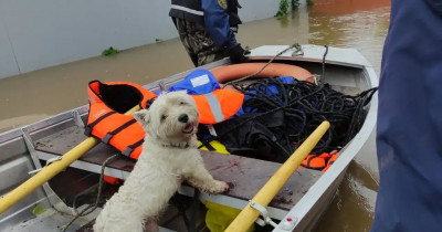 Нижний Тагил продолжает бороться с паводком