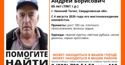В Нижнем Тагиле разыскивают 65-летнего Андрея Минеева 