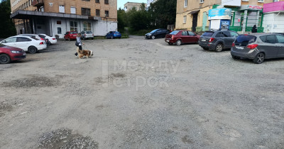Житель Нижнего Тагила пожаловался Владимиру Радаеву на разбитую дорогу и тротуар у трамвайного кольца на Красном Камне  
