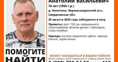 В лесу под Нижним Тагилом пропал 76-летний Анатолий Баторин